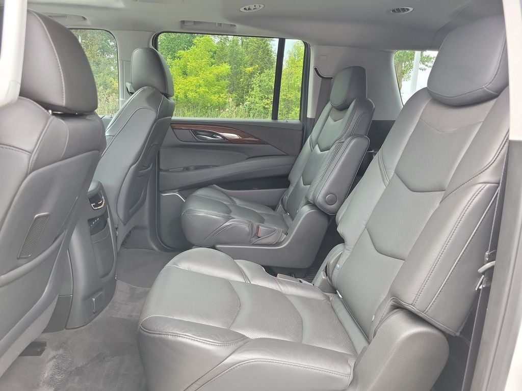 2020 Cadillac Escalade ESV Luxury