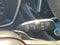 2024 Toyota Corolla Hatchback SE