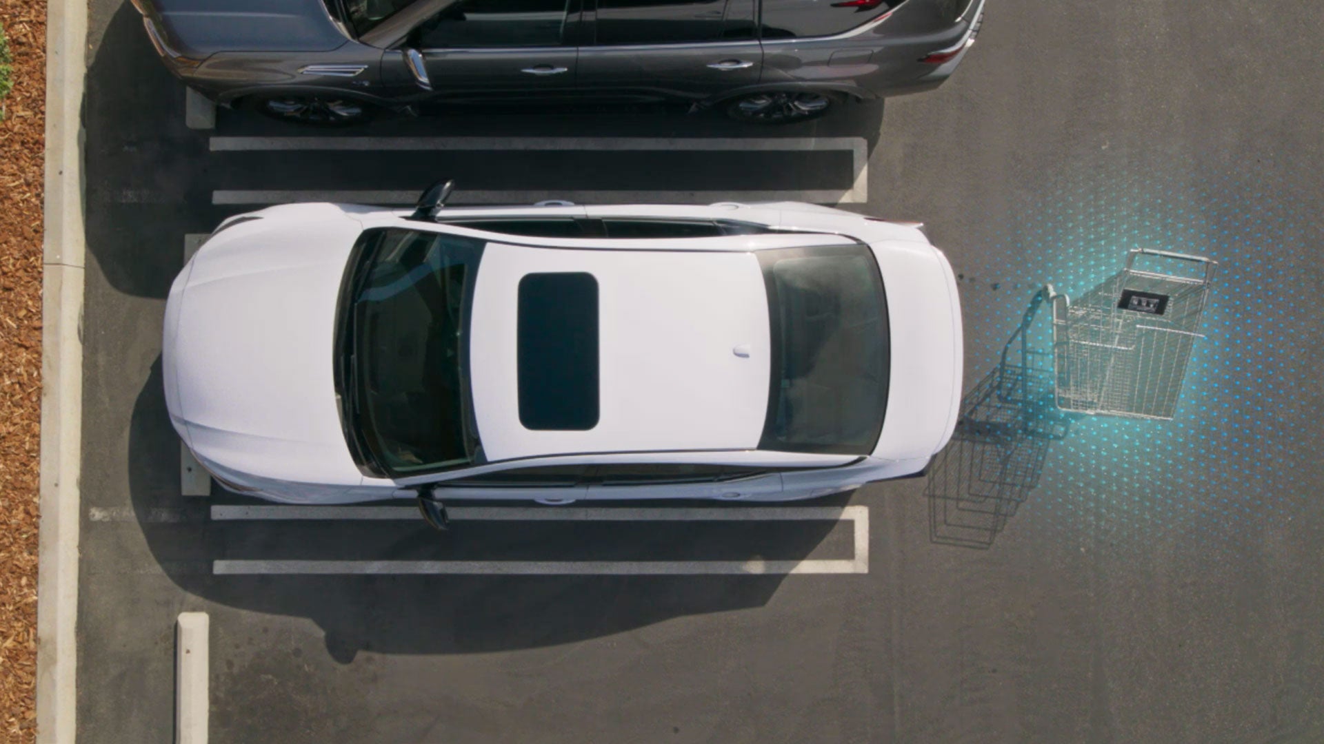 2026 Nissan Altima | Nissan of Canton in Canton, MI
