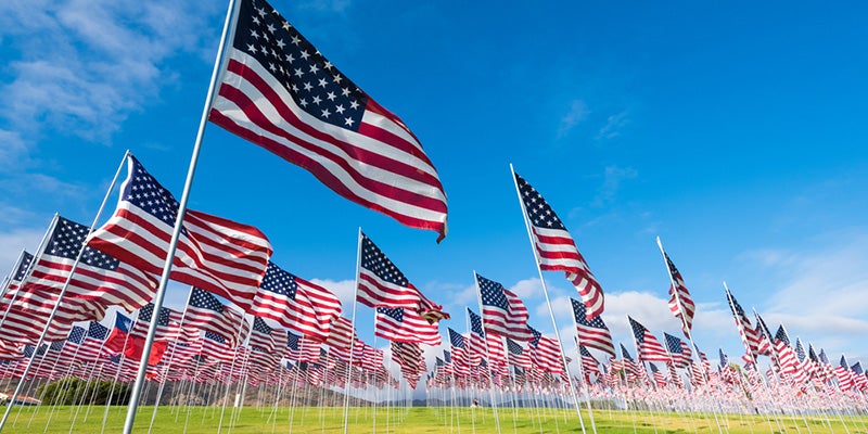 Nissan of Canton in Canton MI field of american flags